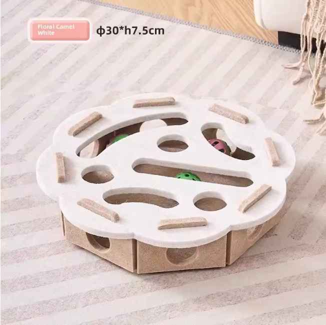 Cat in the Box