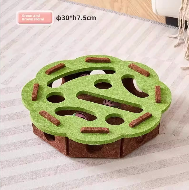 Cat in the Box