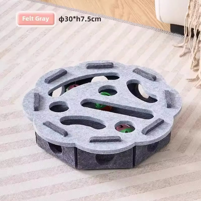 Cat in the Box