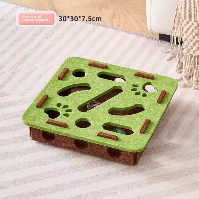 Cat in the Box