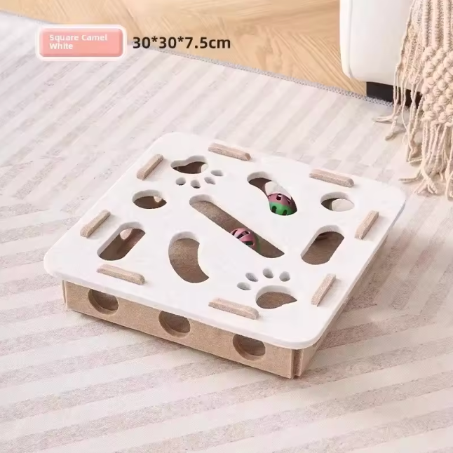 Cat in the Box